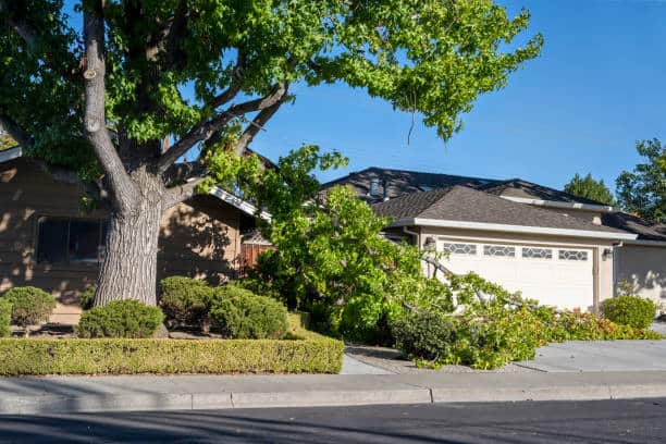 Emergency Tree